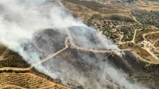 Urlada ormana sirayet eden yangın kontrol altına alındı