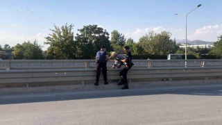 Üst geçitten atlamak isterken polis yakaladı