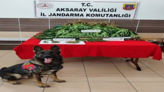 Uyuşturucu tacirinin evine baskın