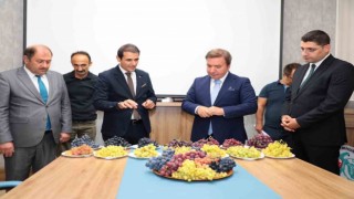 Üzümüyle meşhur Erzincanda yeni üzüm çeşitleri yetiştirilecek