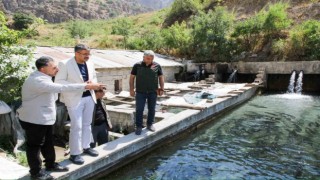 Vali Çelik, alabalık tesislerinde incelemelerde bulundu
