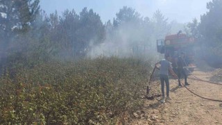 Valilikten Kırka yangını ile ilgili açıklama