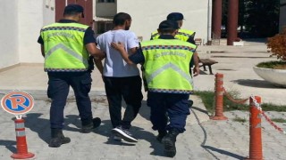 Yalovada 181 kök Hint keneviri ele geçirildi: 1 gözaltı