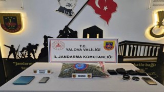 Yalovada uyuşturucu operasyonu: 1 gözaltı