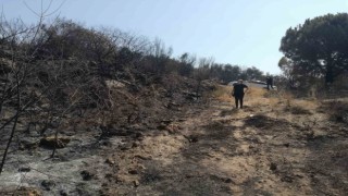 Yangından zarar gören tarımsal alanlarda incelemelerde bulunuldu