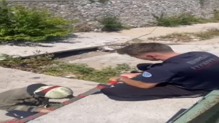 Yaralı martıyı iftaiye ekipleri kurtardı