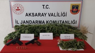 Yasa dışı kenevir üretimine jandarma darbesi