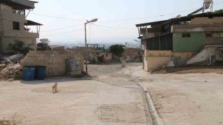 Yaşlı kadının etrafını saran sokak köpeklerinden tedirgin olduğu anlar kamerada