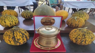 Yoğurt ve kavunun en iyileri Tavasta belirlendi