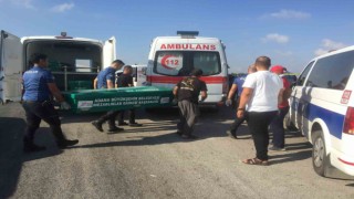 Yolun bittiğini fark etmediler, sulama kanalına düşüp hayatlarını kaybettiler