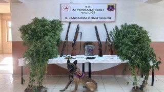 Zehir tacirlerinin sobaya sakladıkları esrarı narkotik köpeği buldu