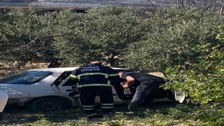 Zeytinliğe uçan otomobildeki 2 kişi yaralandı