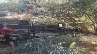 Zeytinliğe uçan patpattaki 2 kişi yaralandı