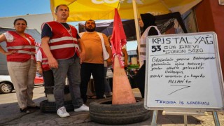 Zeytinyağı fabrikası işçileri 53 gündür grevde, yönetim Tarişte fason üretimde