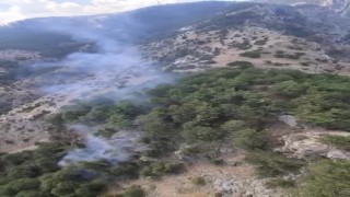 Zirvede başlayan yangın hava müdahalesiyle söndürüldü