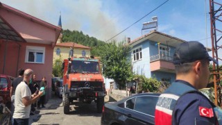 Zonguldakta orman yangını