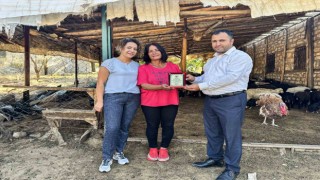 10 koyunla başladı 2 bin koyun yetiştirdi