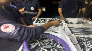 100 kilo istavrit ve 14 kilo lüfere el konuldu