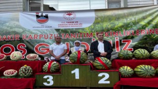 14. Diyarbakır Karpuz Festivalinde ilk üçe girenlere para ödülü
