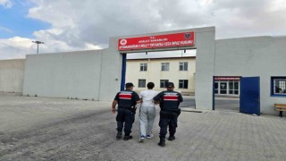 2 yıl 6 ay hapis cezası ile aranan şahsı jandarma yakaladı