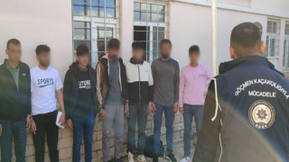 7 düzensiz göçmen sahte pasaportlarla yakalandı