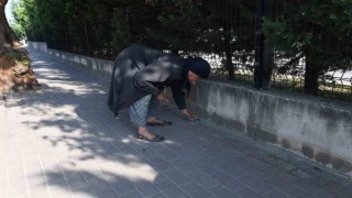82 yaşındaki Nefise teyzeden örnek çevre hareketi