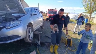 Ağrıda araçta sıkışan yavru köpeği itfaiye ekibi kurtardı