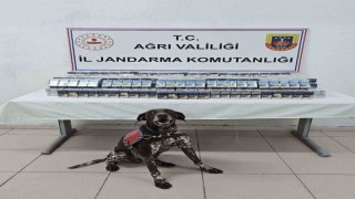 Ağrıda binlerce paket kaçak sigara ele geçirildi
