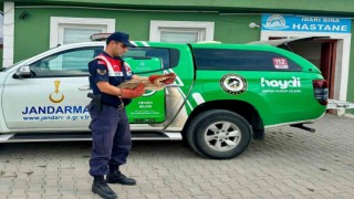 Ağrıda bitkin düşen Balıkçıl Kuşu, jandarma tarafından kurtarıldı