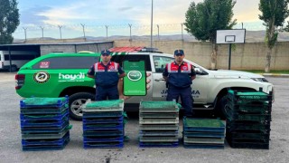 Ağrıda kurbağa avcılarına rekor ceza