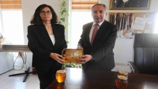 AİÇÜde Üretilen İlk Balın Hasadı Yapıldı