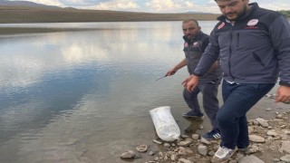 Akarsu ve göletlere 48 bin balık yavrusu bırakıldı