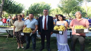 Alaşehirin en güzel üzümü seçildi