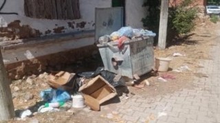 Alpuda toplanmayan çöplere tepki