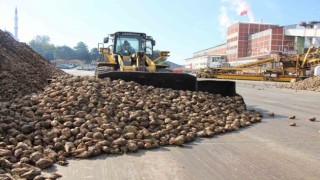 Amasya Şeker Fabrikası 71 yıldır üretimde: Şeker pancarının tatlı yolculuğu
