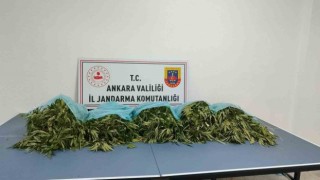 Ankarada narkotik operasyonu: 25 kilogram kubar esrar ele geçirildi