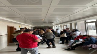 Ankarada yavru köpeği dirgenle öldüren sanık hakim karşısında