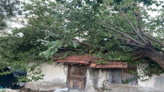 Antalyada çıkan hortum ev ve seralara zarar verdi