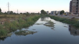 Antalyada kanal kenarında erkek cesedi bulundu