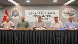 Antalyada zeytin rekoltesinde geçen yıla göre yüzde 30 artış bekleniyor