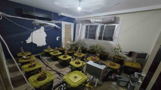 Apartmana uyuşturucu serası kurdular