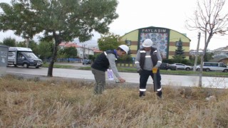 ARAS EDAŞ, altyapı çalışmalarına devam ediyor