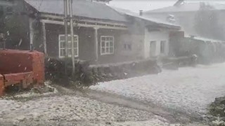 Ardahanda dolu yağışı sonrası her yer beyaza büründü