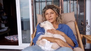 Arka ayakları kesilmiş halde bulunan köpek yeni yuvasına kavuştu