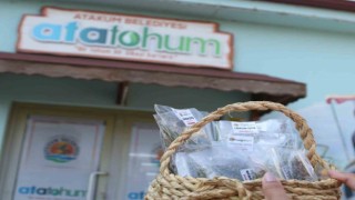 Ata tohumları üreticilere dağıtılacak