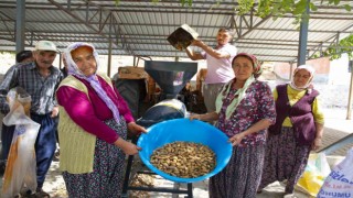 Aydıncık ve Gülnarlı üreticilerin badem soyma derdi bitti