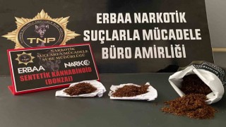 Baca deliğinden bonzai çıktı