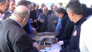 Bafra Ovasında Çeltik Hasat Şenliği: 165 bin ton rekolte beklentisi