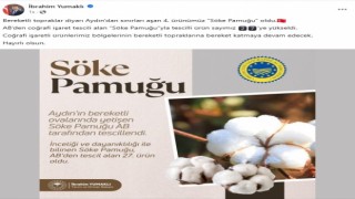 Bakan Yumaklıdan Söke Pamuğu paylaşımı