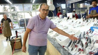 Balık sezonunda palamut yoğunluğu